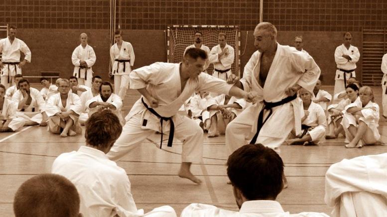 Szkolenie karate Hannover 2017