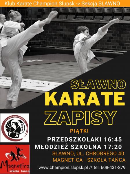 Karate Sawno Zapisy 2023 treningi